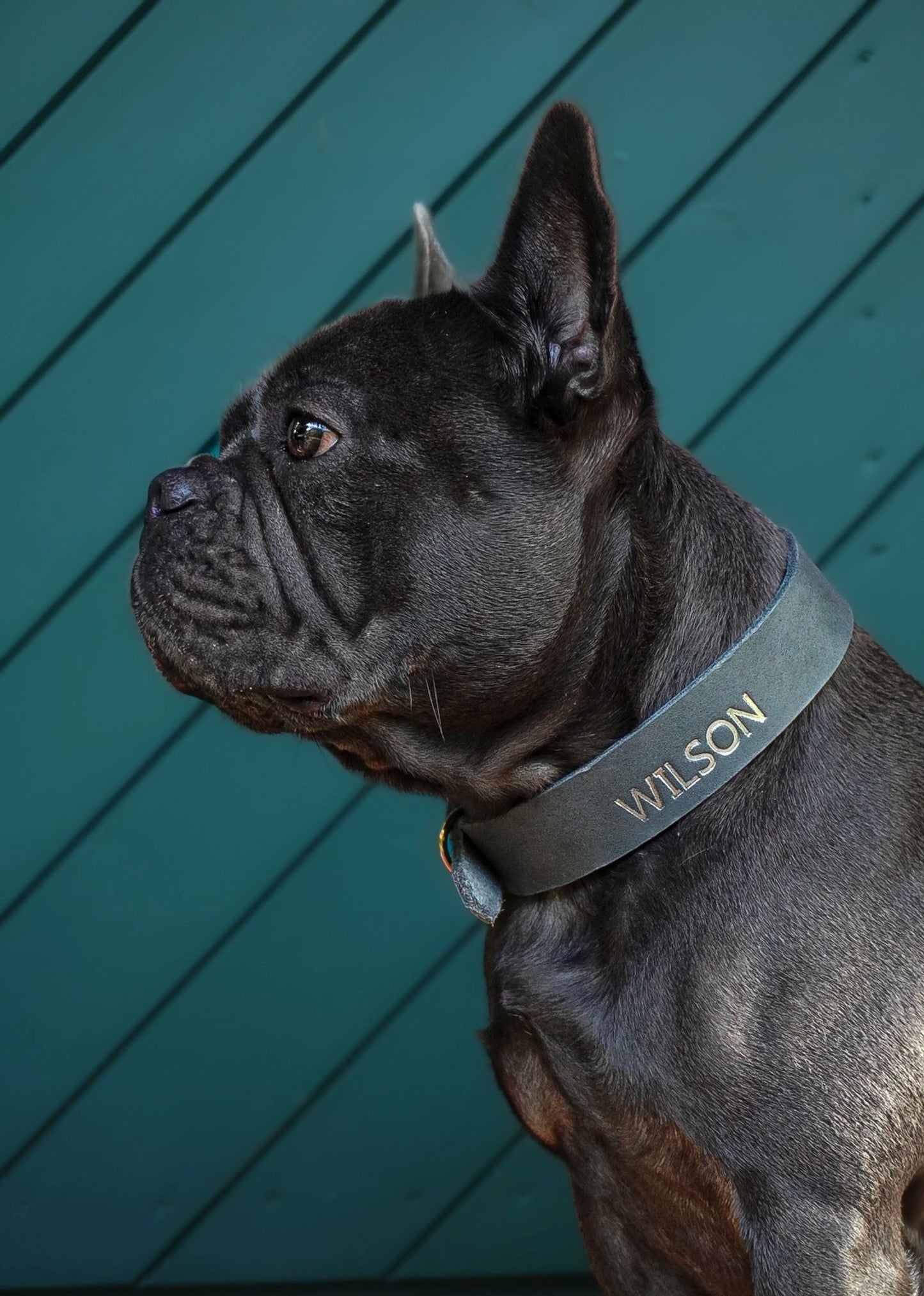 Personalisierbares Leder Halsband Rocky