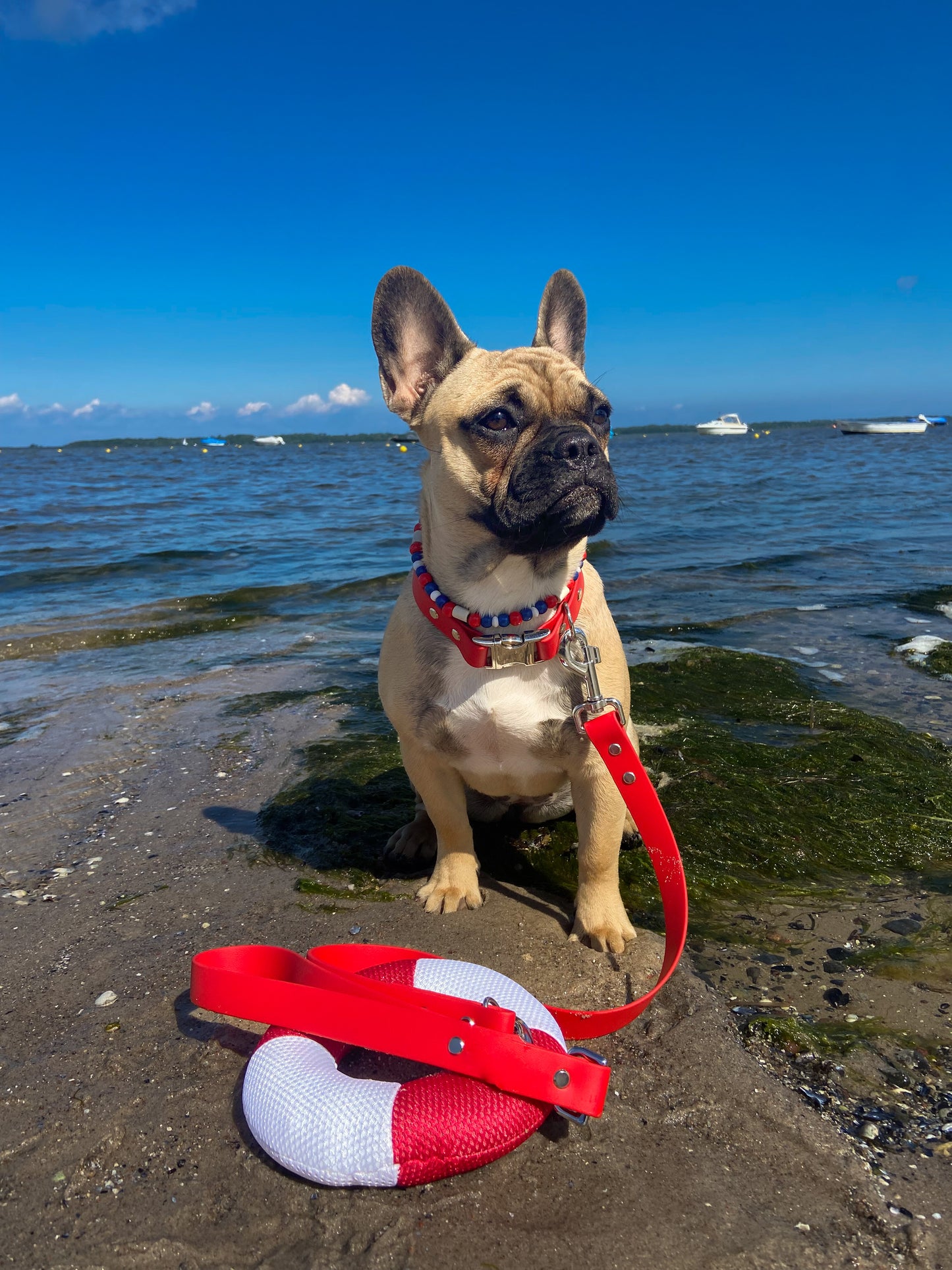 Biothane Halsband Heart