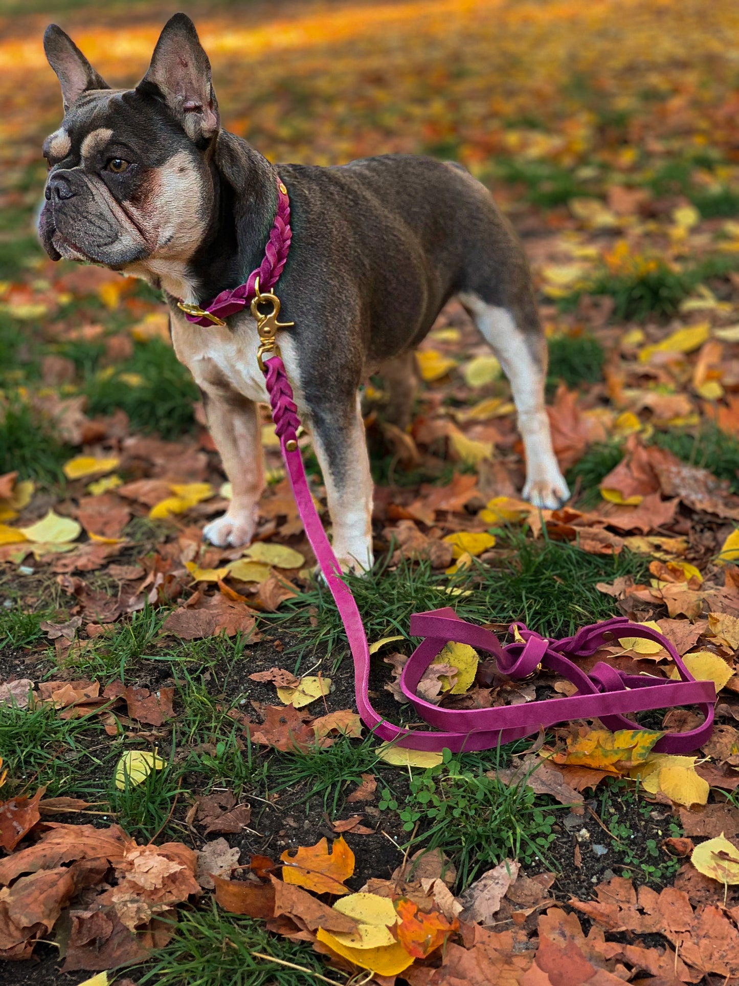 Leder Halsband Braided Berry