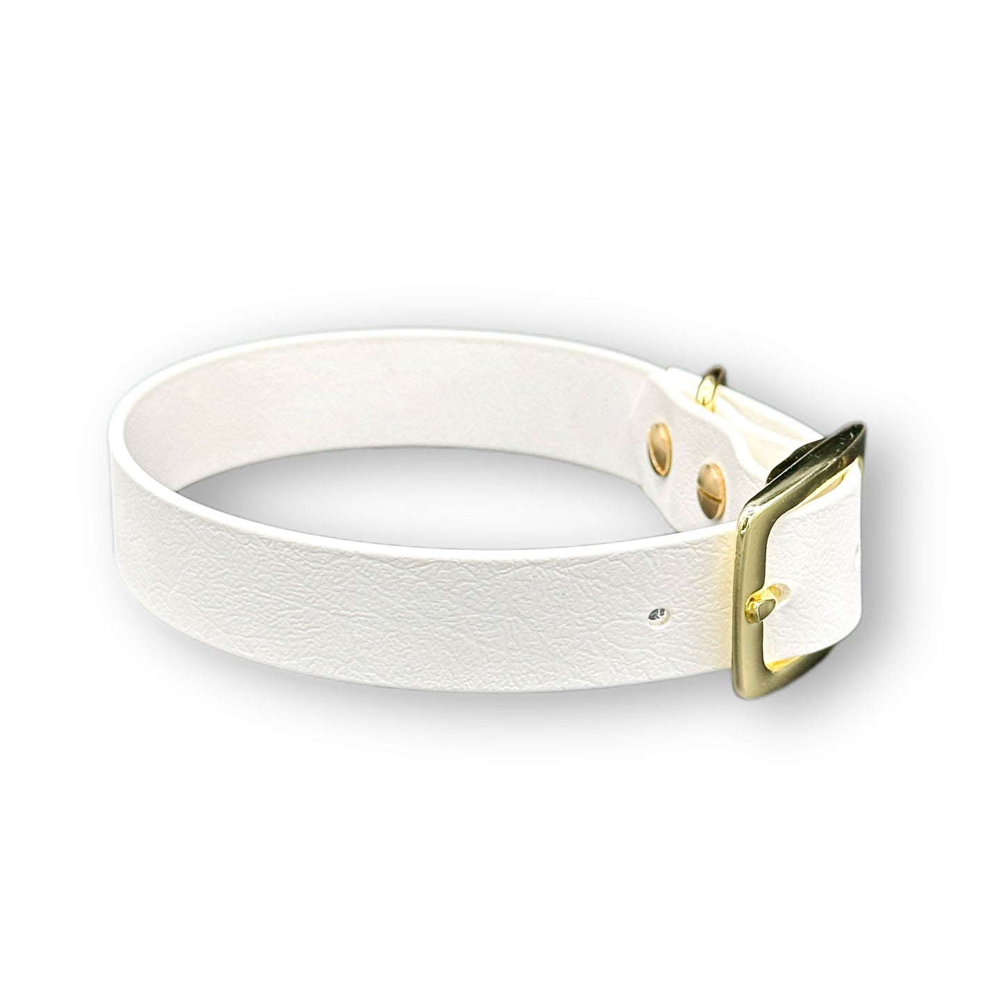 Biothane Halsband White