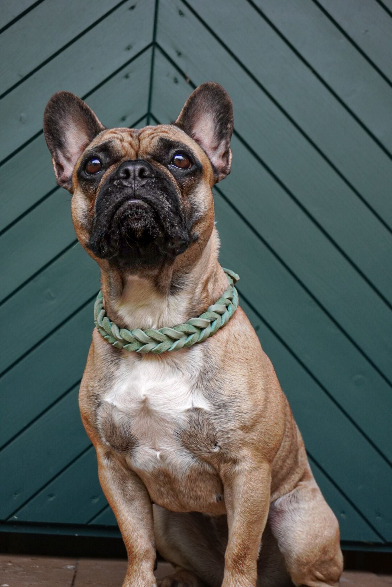Leder Halsband Braided Mint