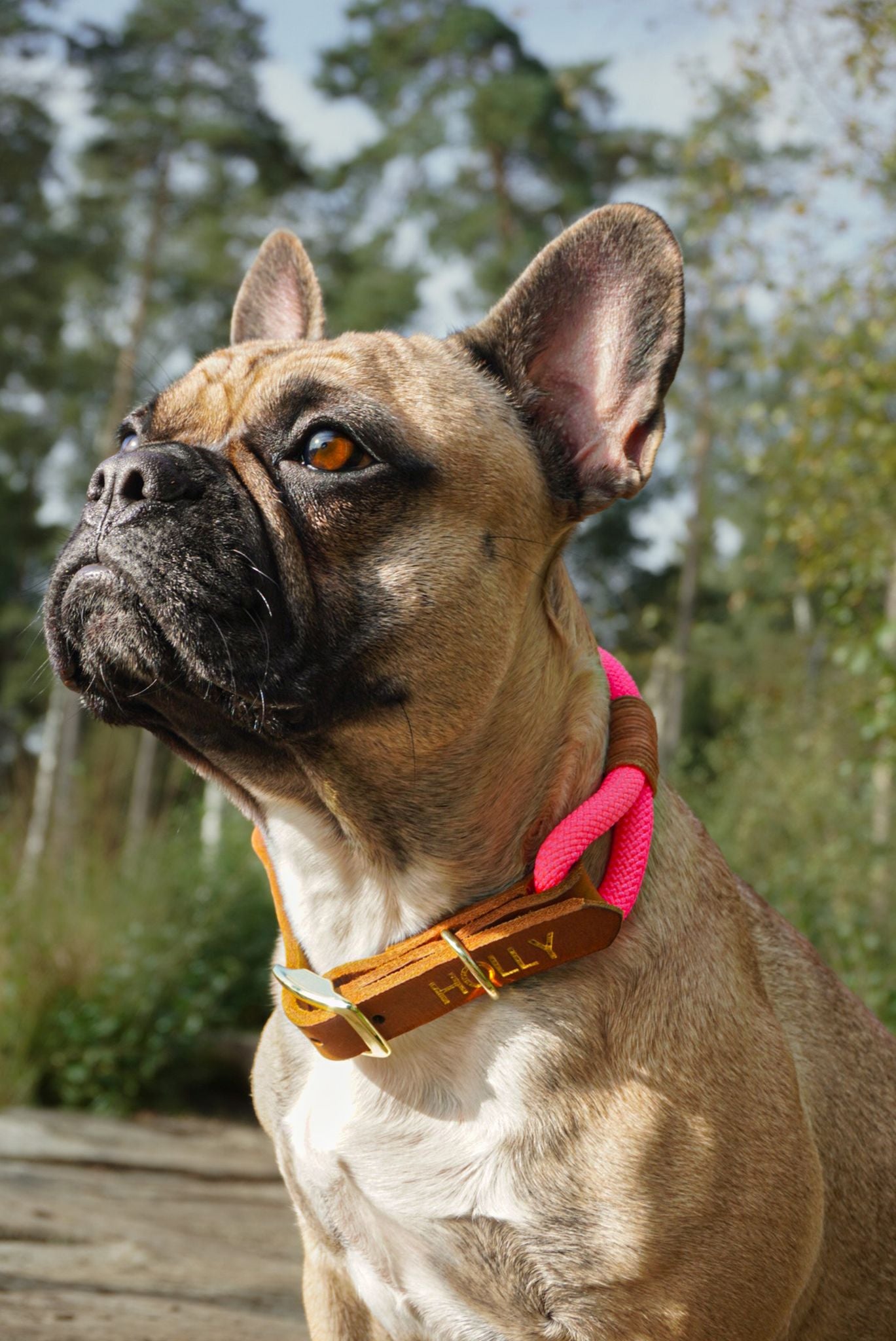 Personalisierbares Tau Halsband Think Pink
