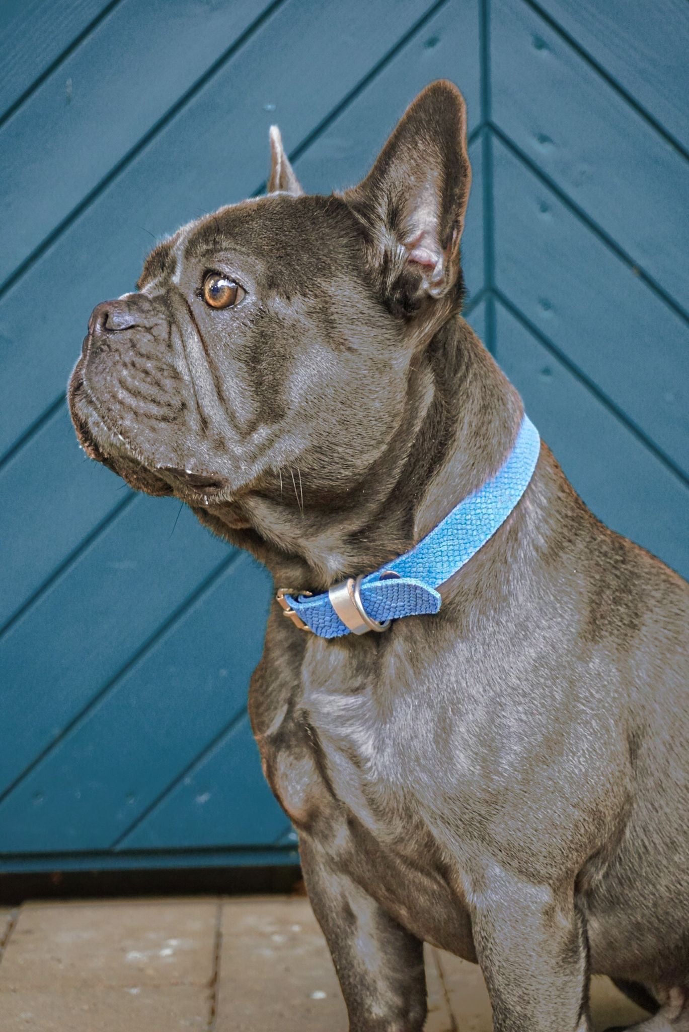 Veloursleder Halsband Blue