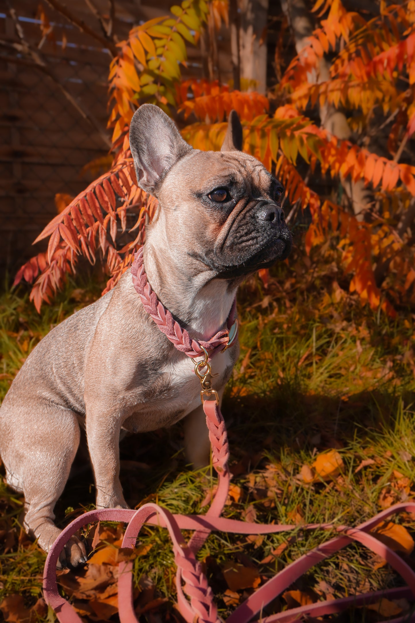 Leder Halsband Braided Rosé