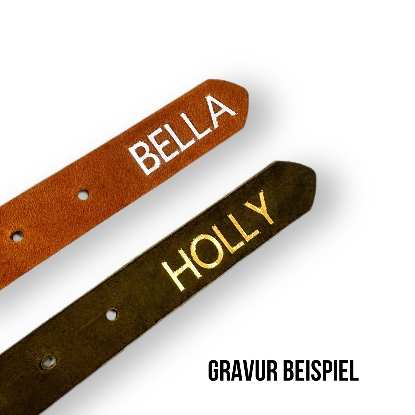 Personalisierbares Biothane Halsband Arista