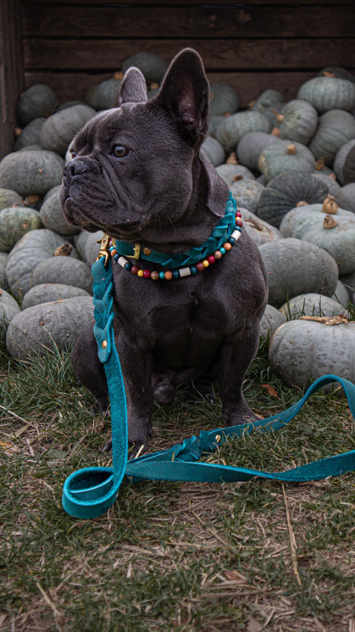 Leder Leine Sea Green