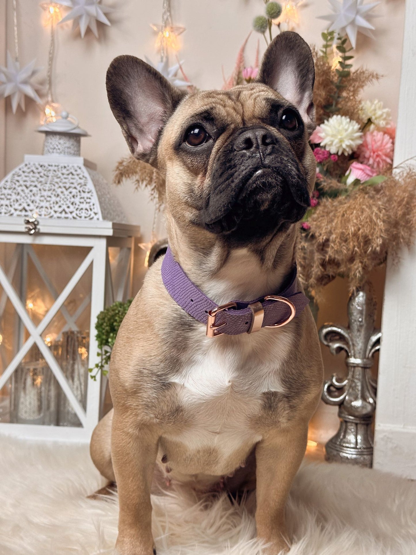 Veloursleder Halsband Purple