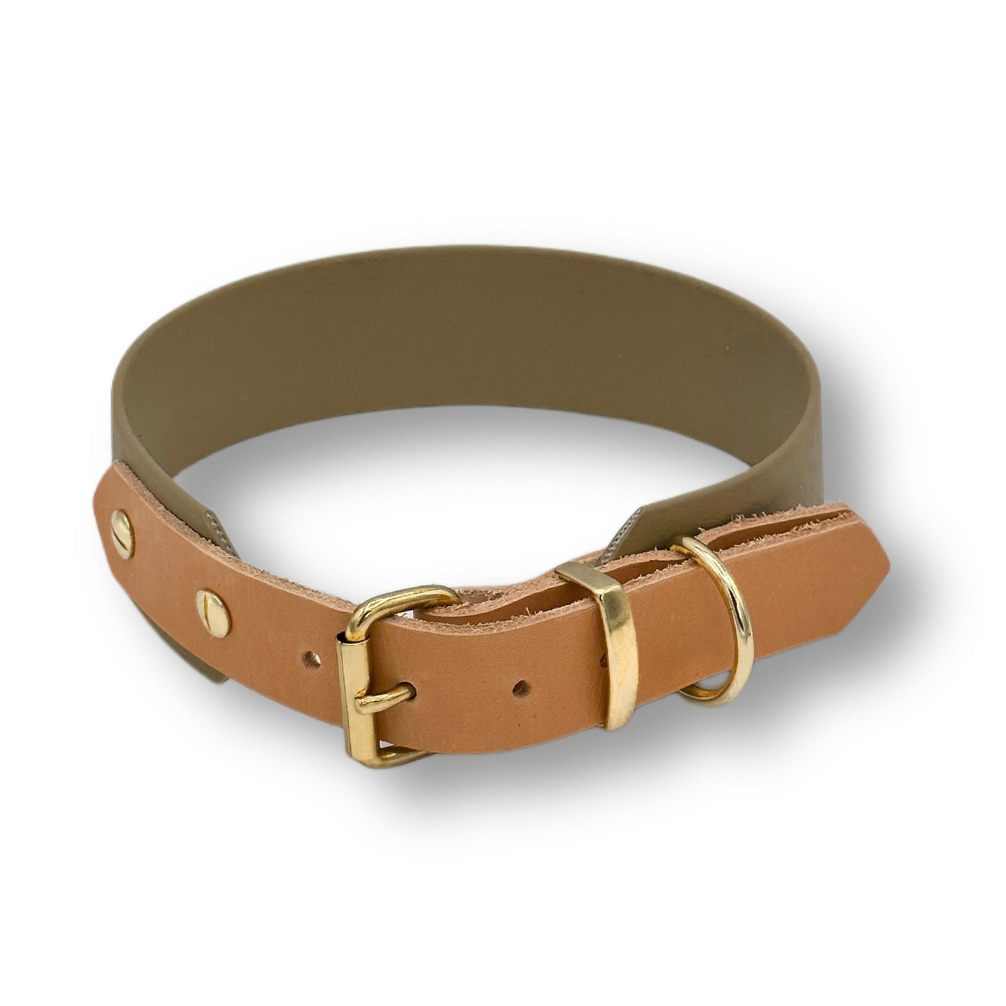 Personalisierbares Biothane Halsband Arlo