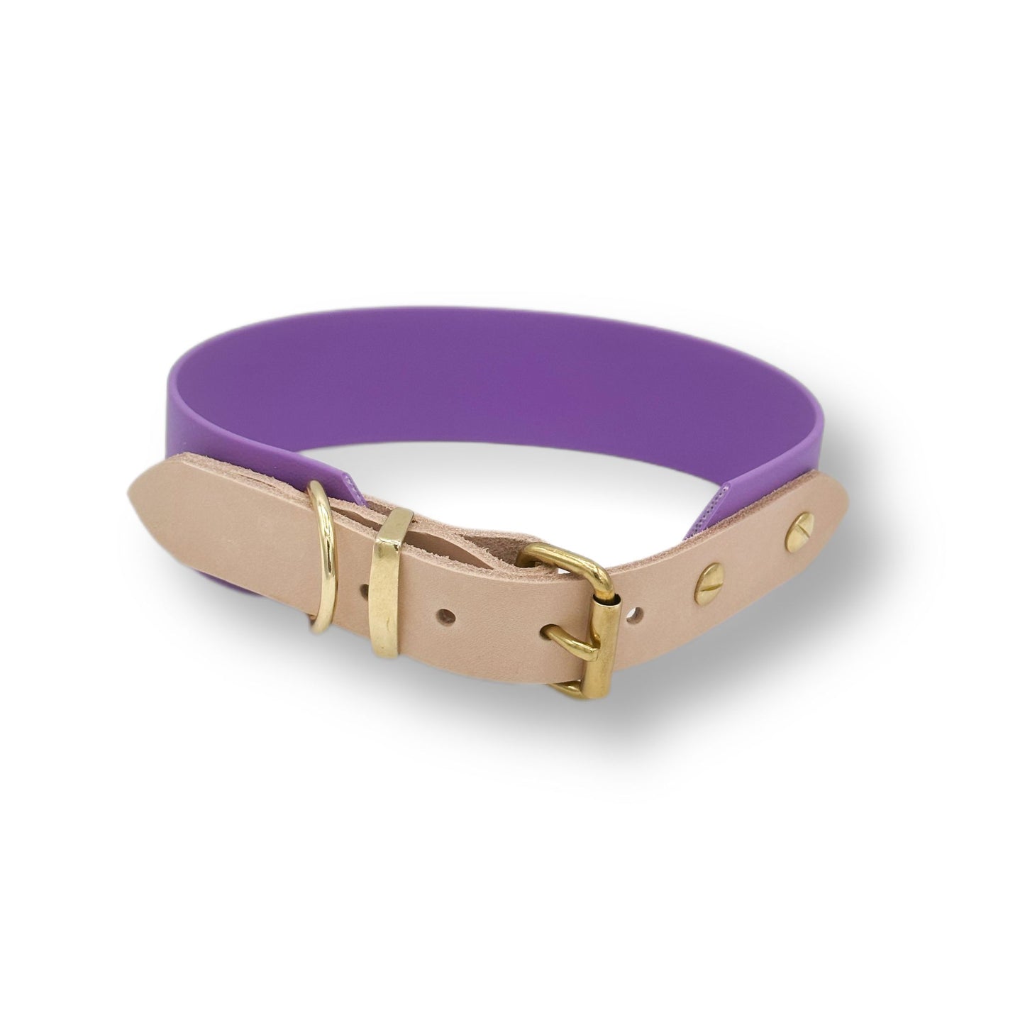 biothane halsband