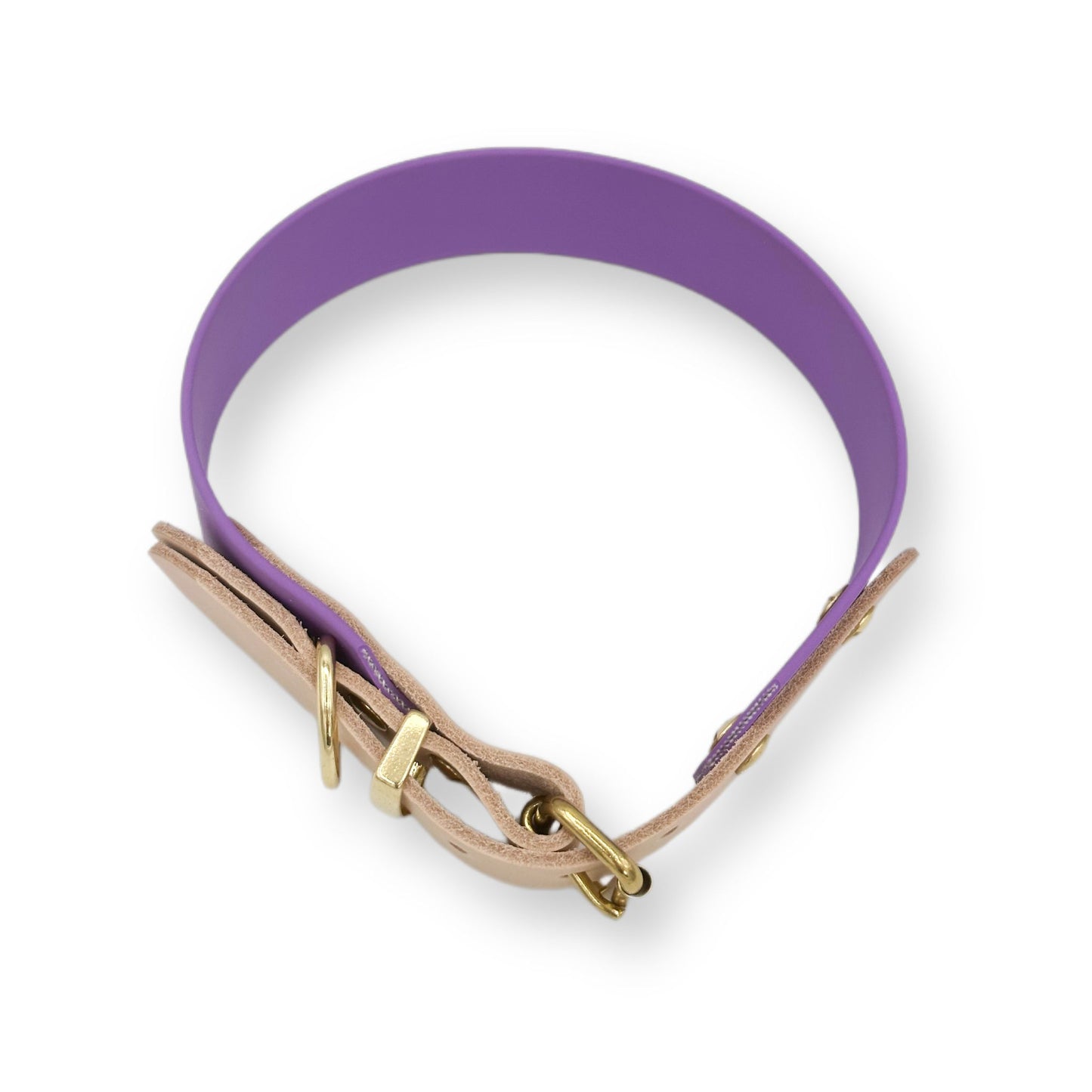 biothane halsband