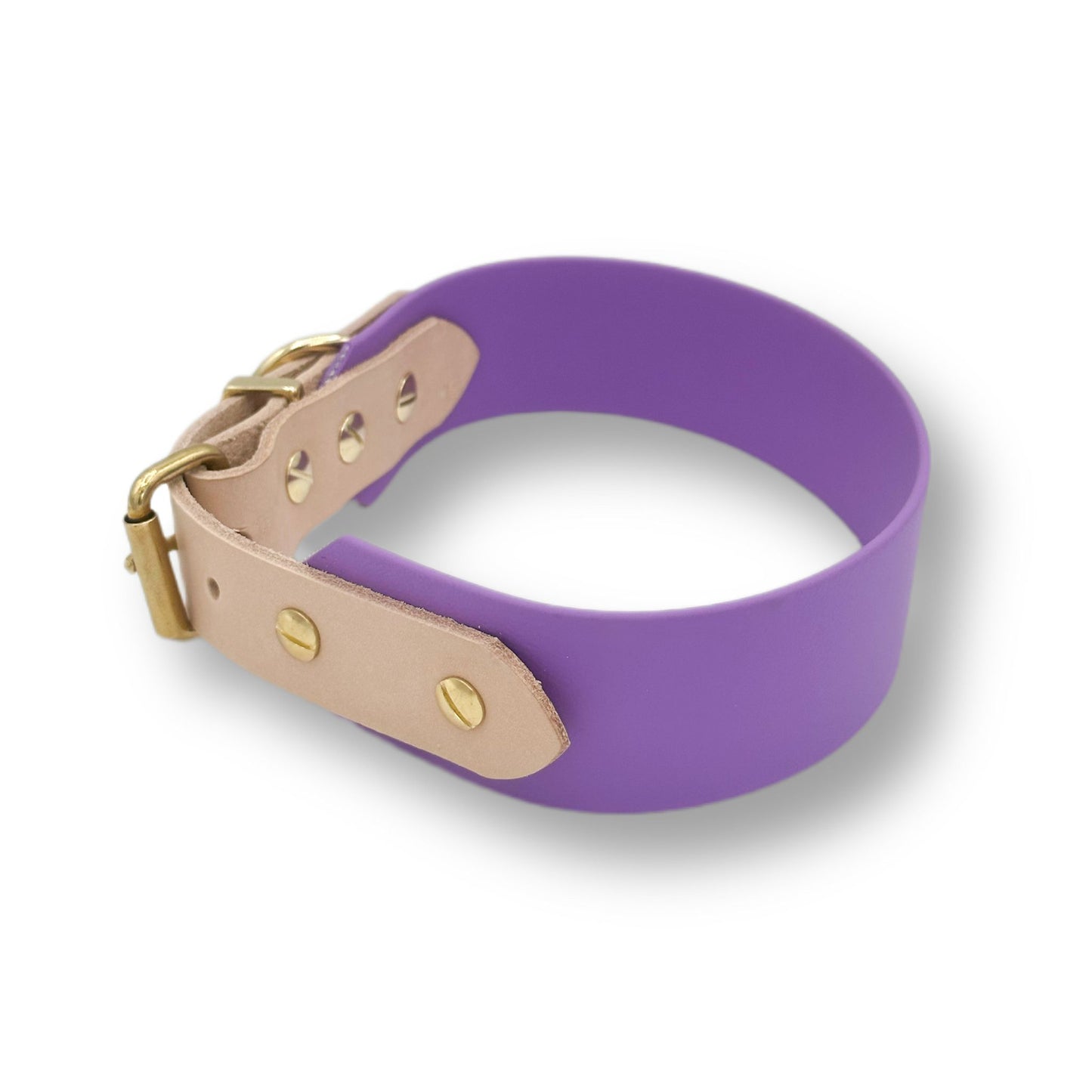 biothane halsband