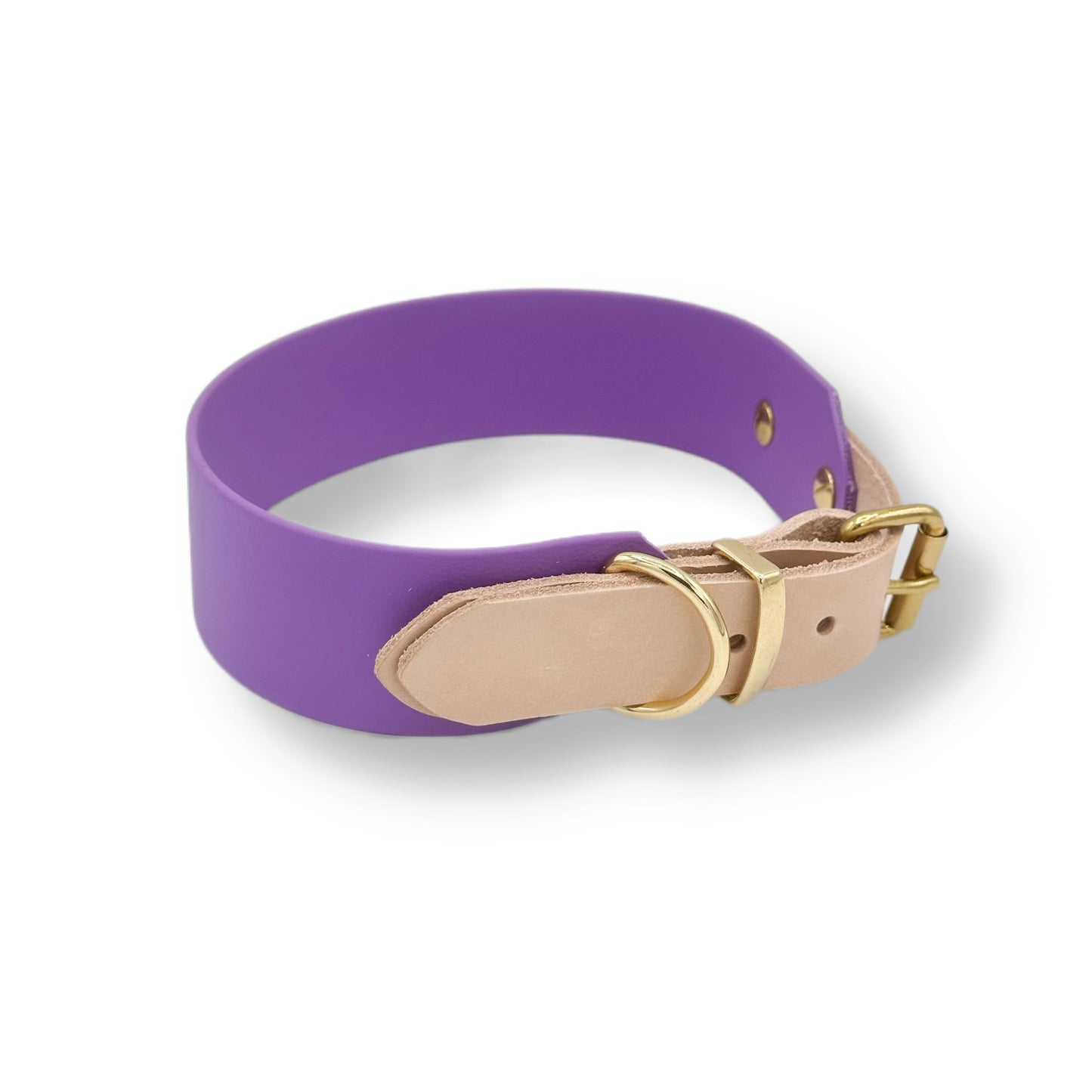 biothane halsband