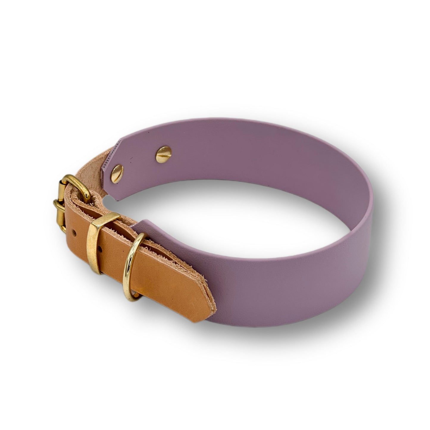 biothane halsband