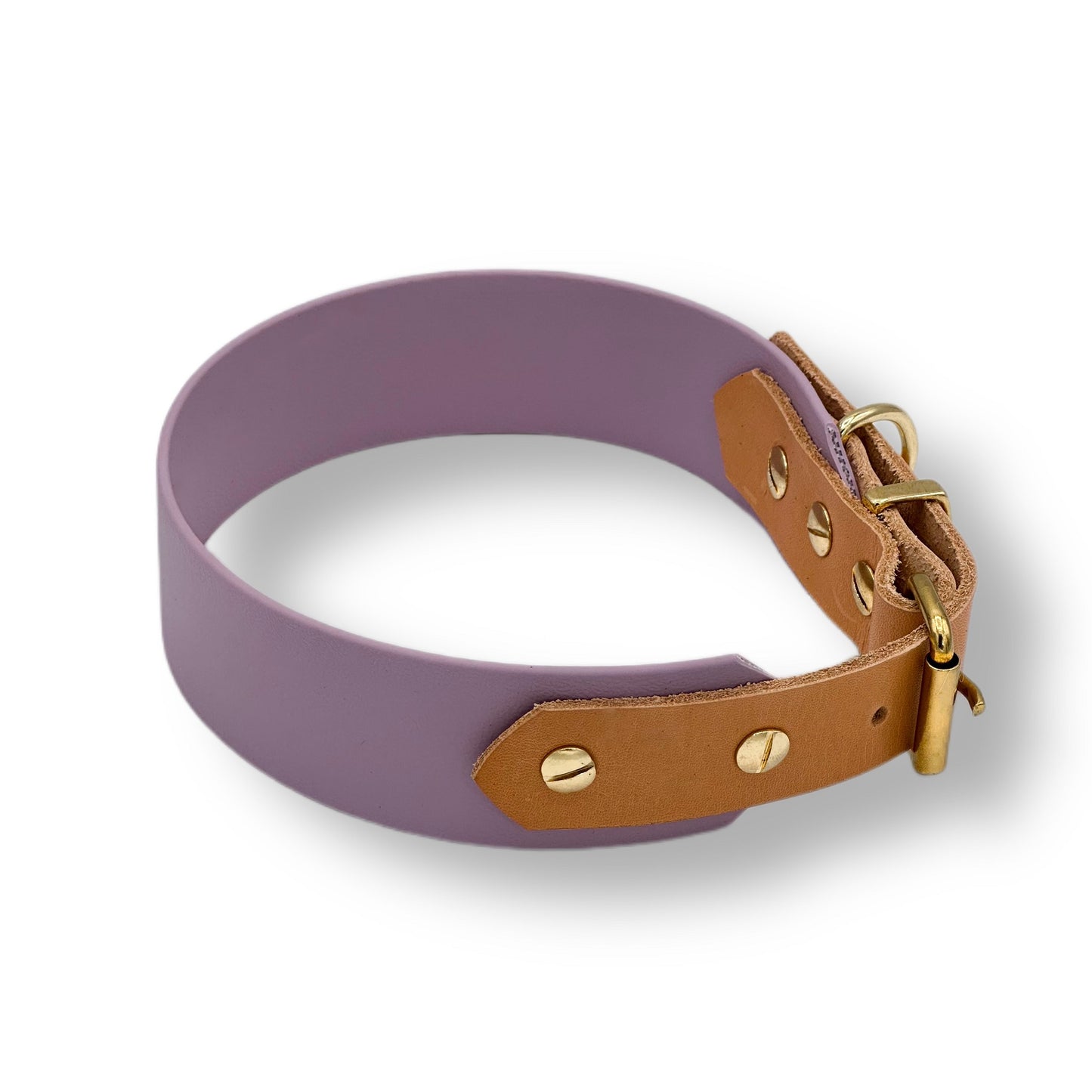 biothane halsband