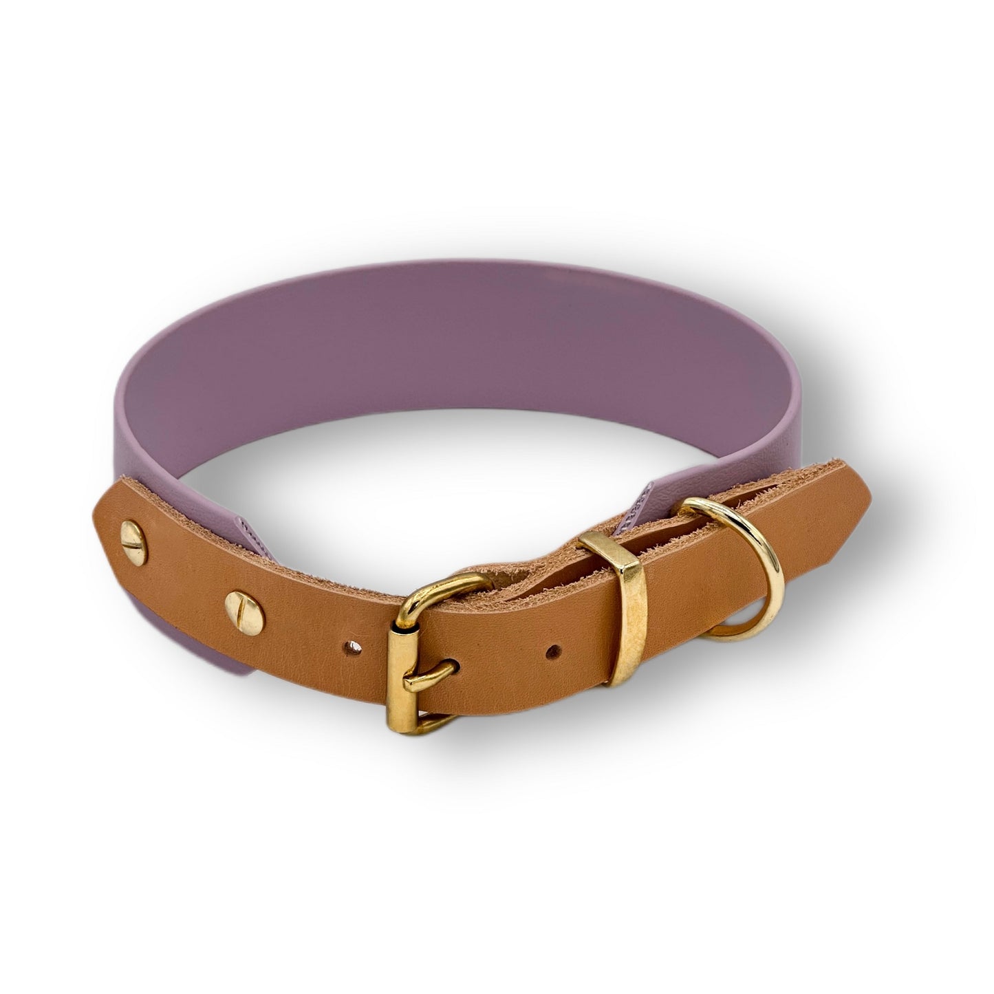biothane halsband