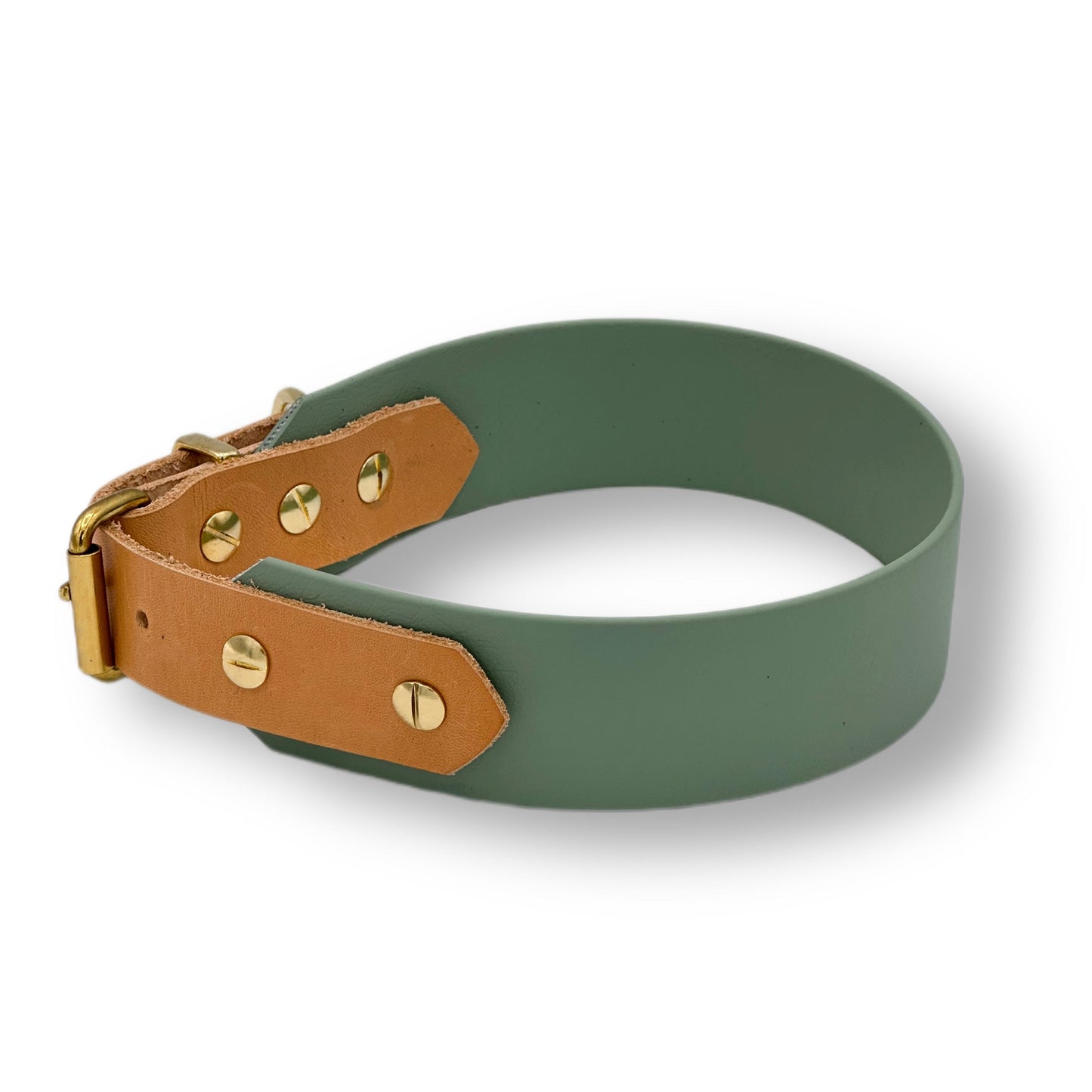biothane halsband