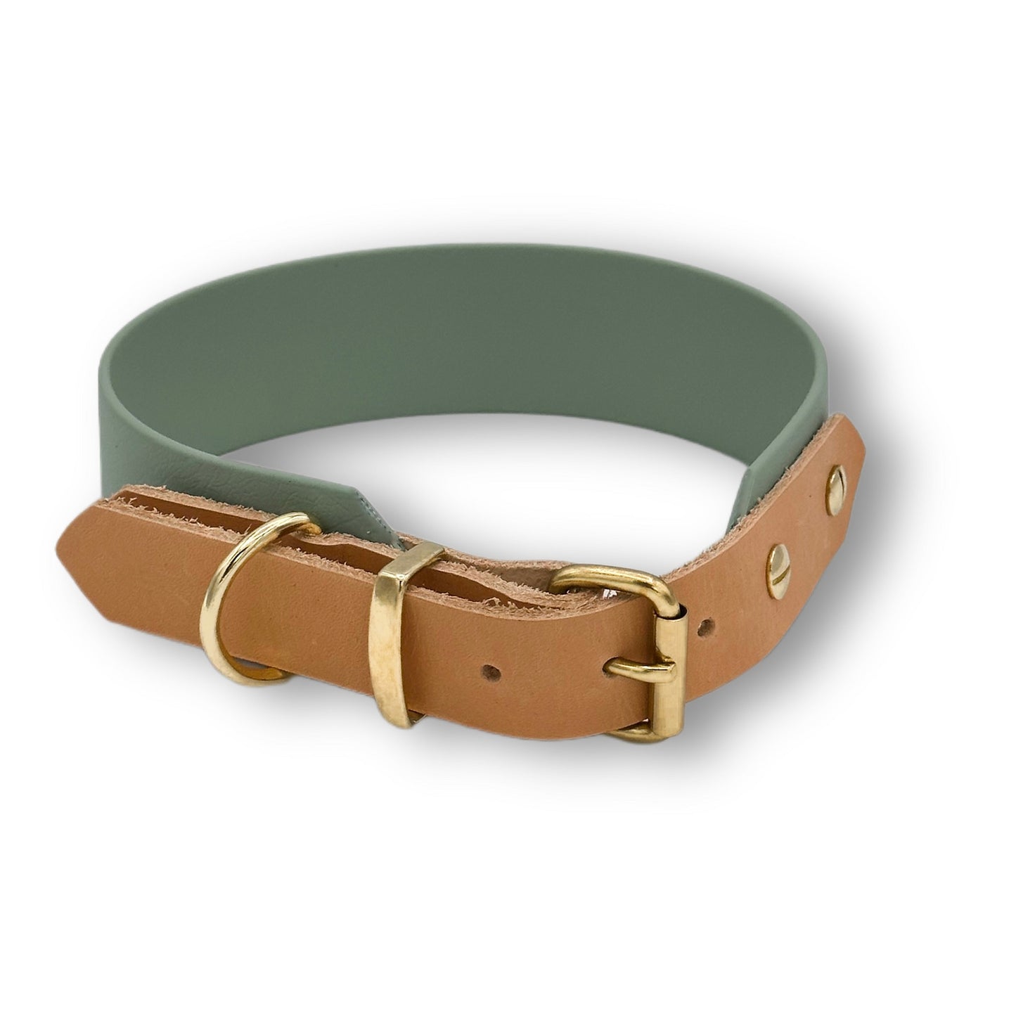 biothane halsband