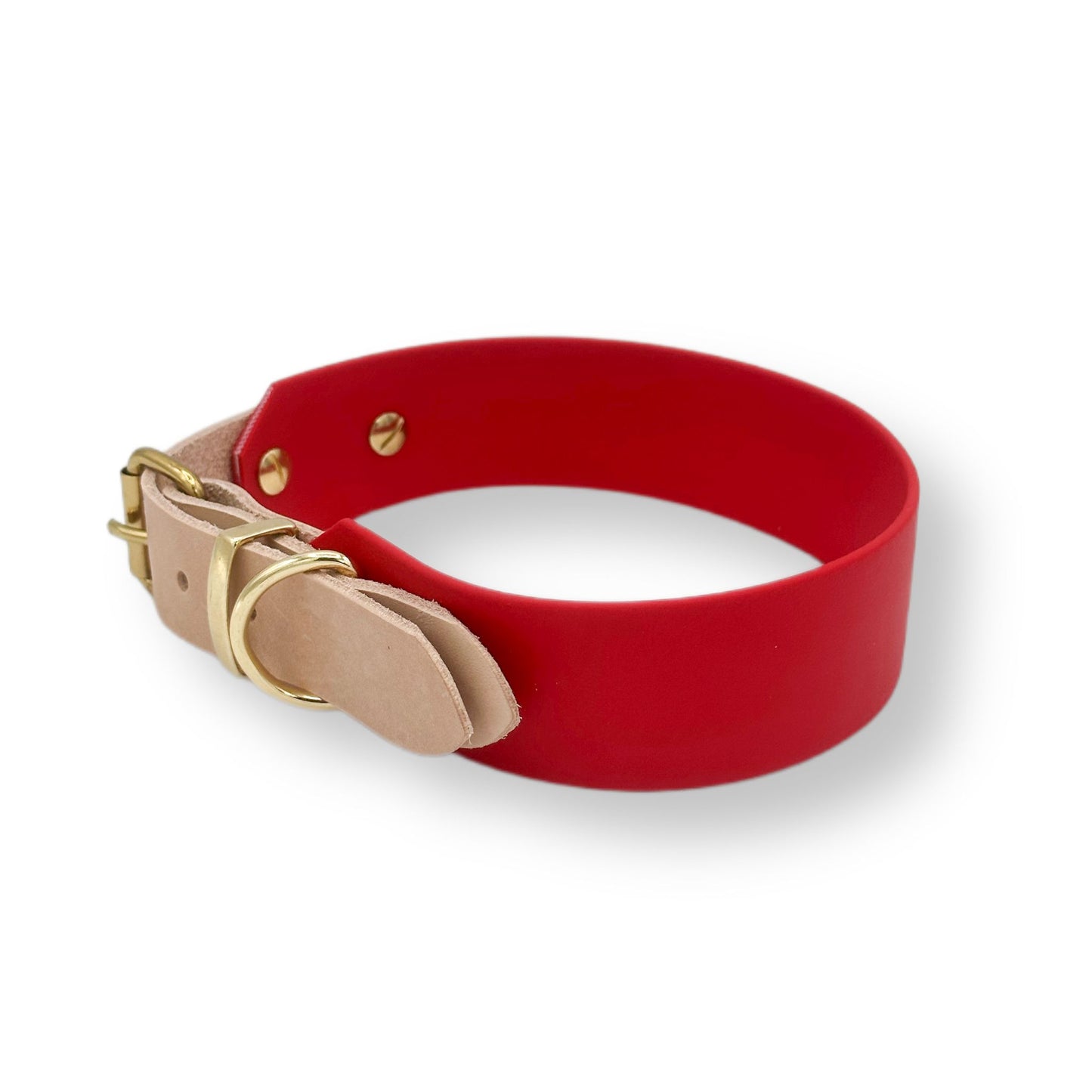 biothane halsband