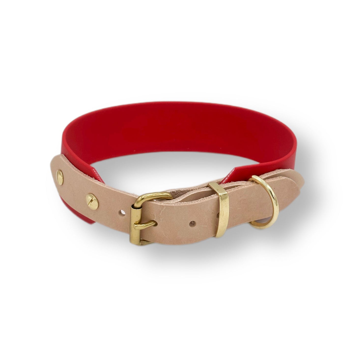 biothane halsband
