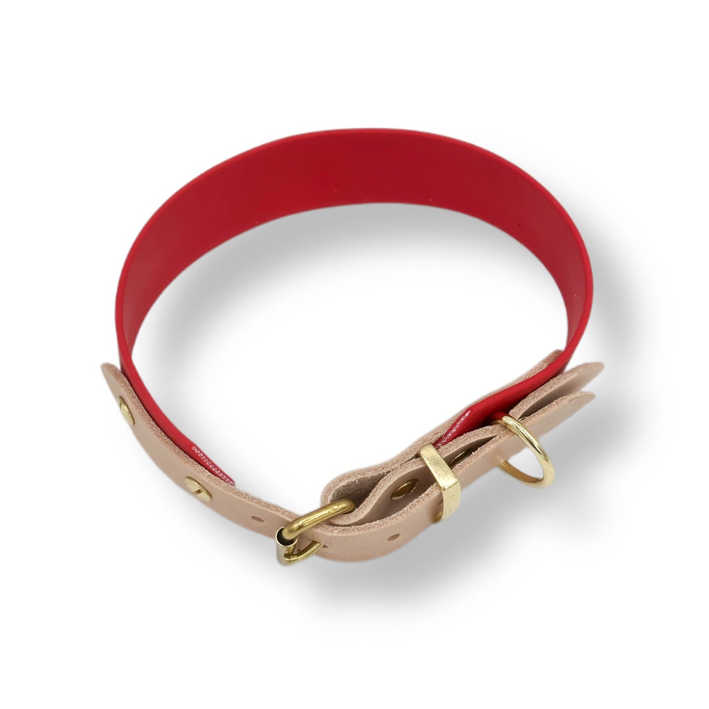 biothane halsband