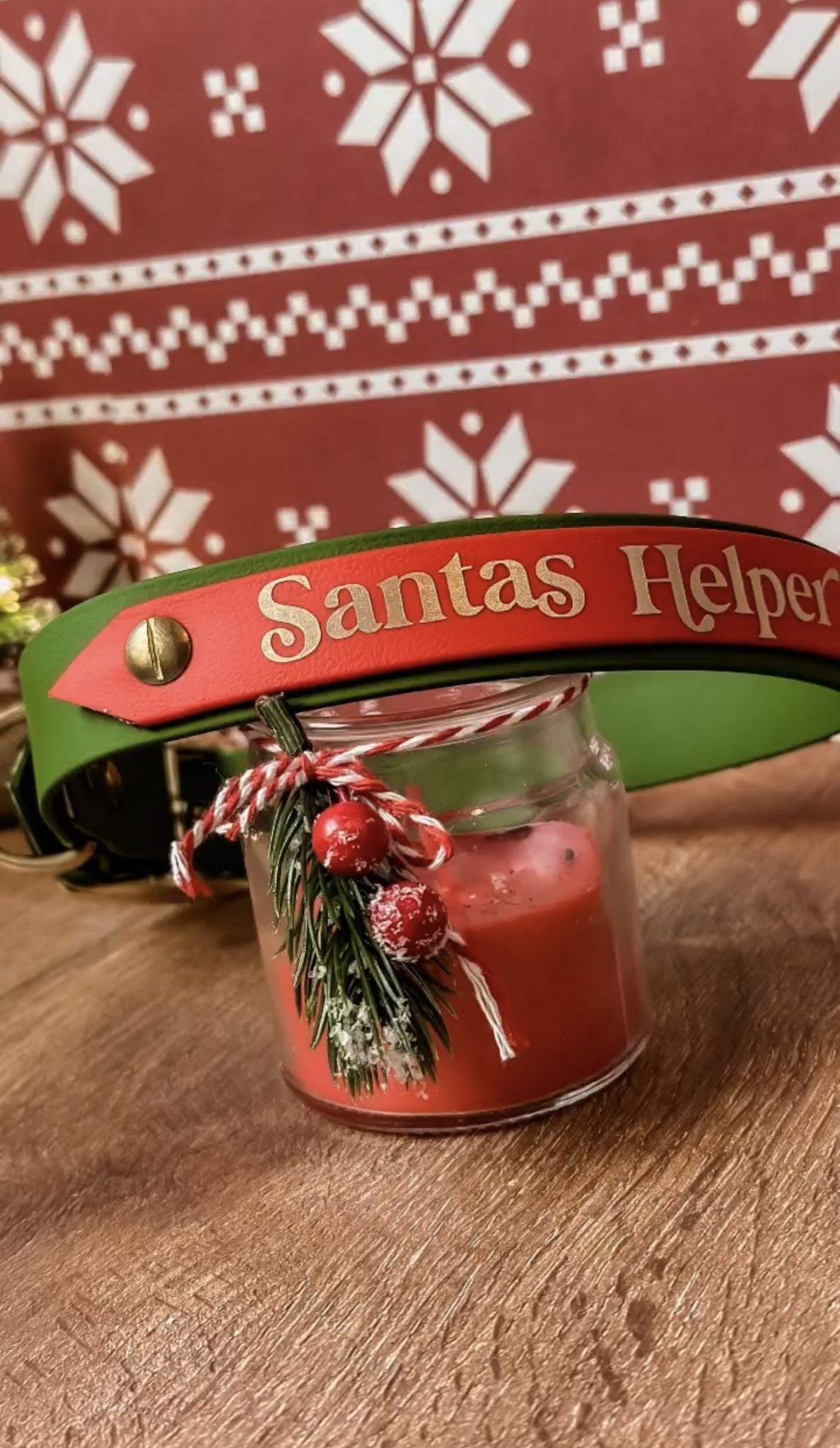 Biothane Halsband Santas Helper