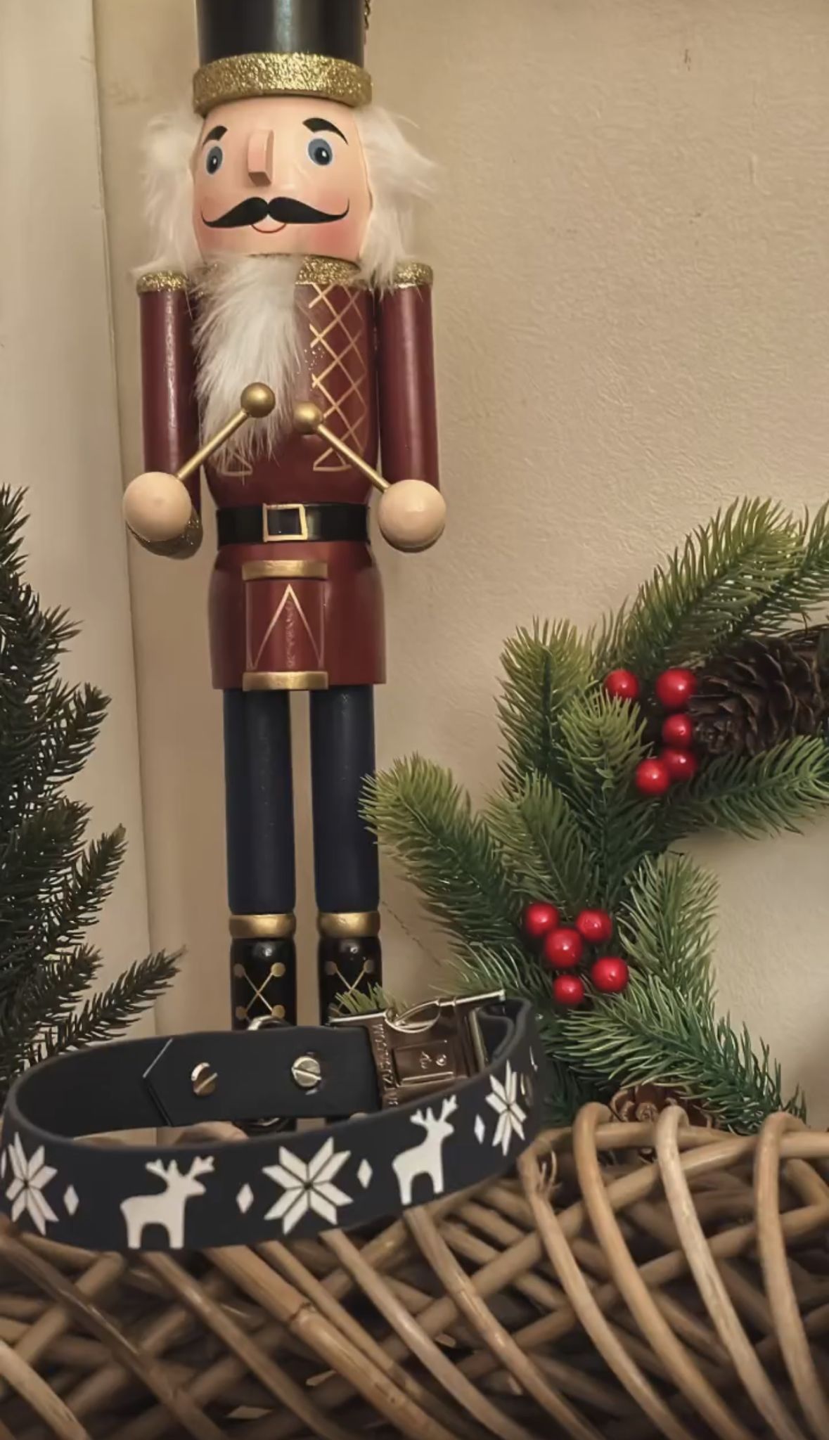 Biothane Halsband Xmas Dancer