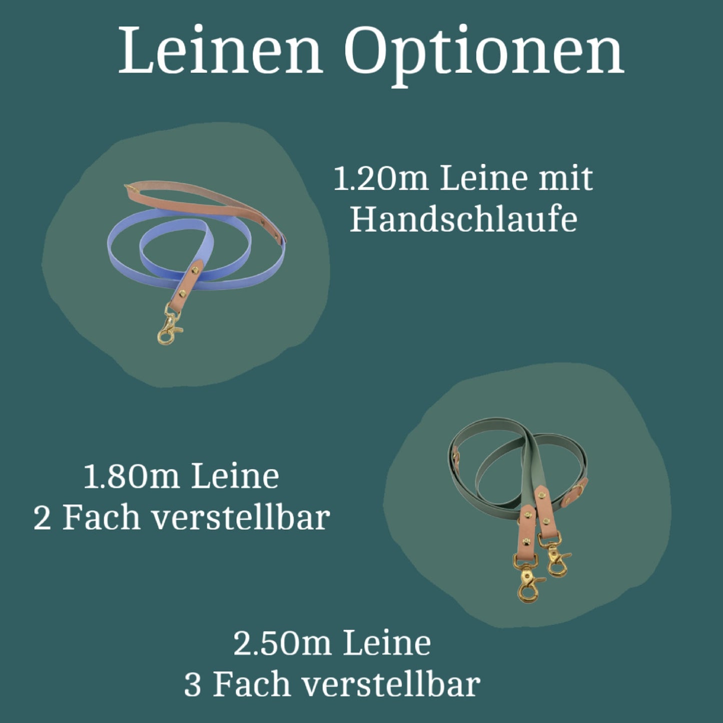 Biothane Leine Santa