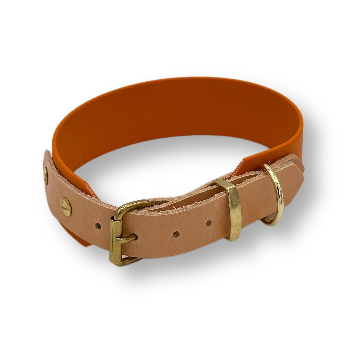 biothane halsband
