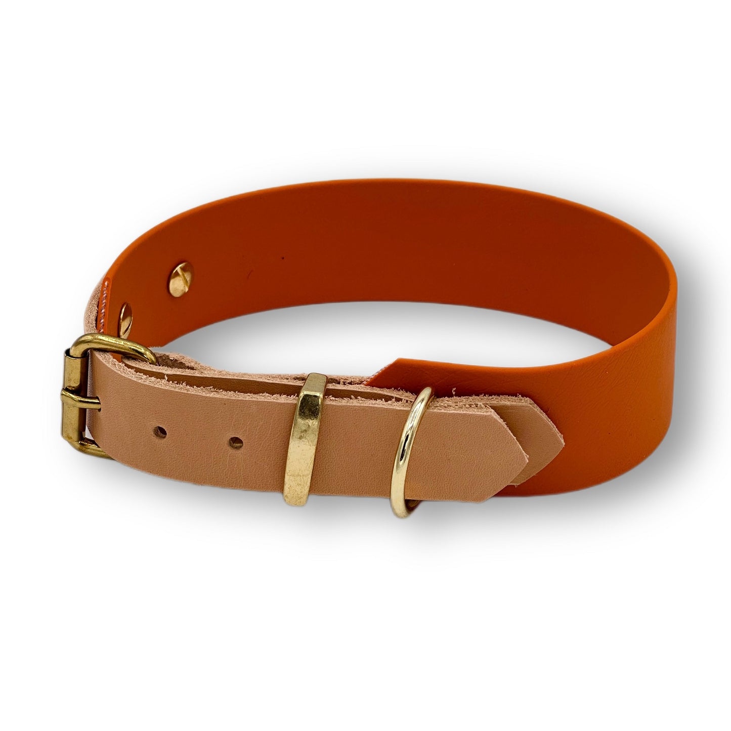 Personalisierbares Biothane Halsband Tequilla