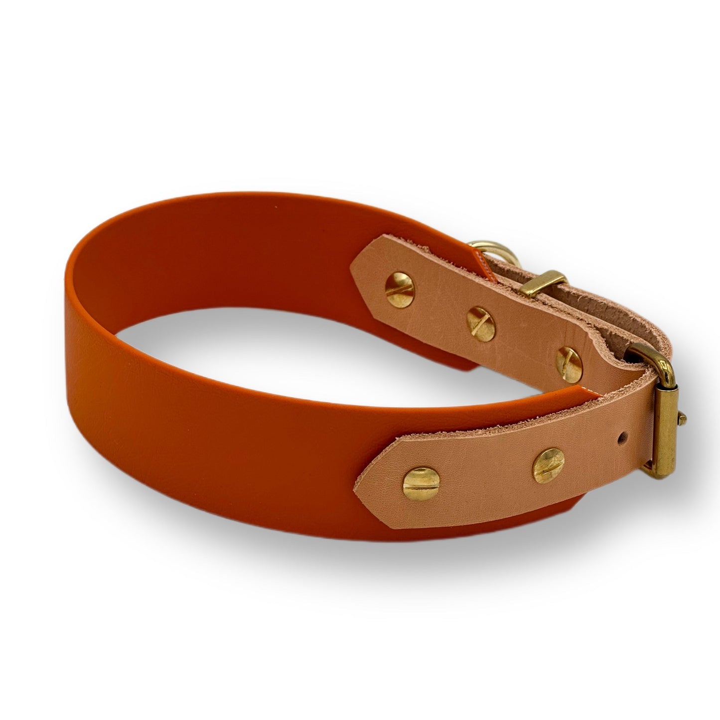 biothane halsband