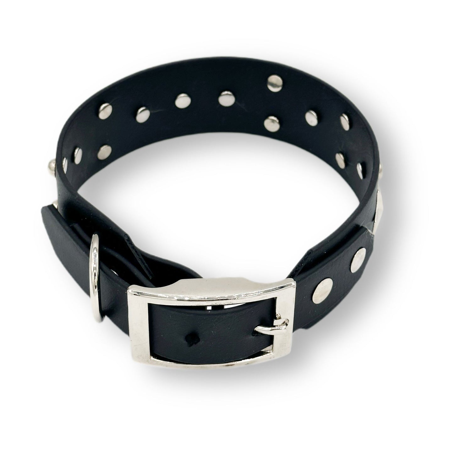 biothane halsband