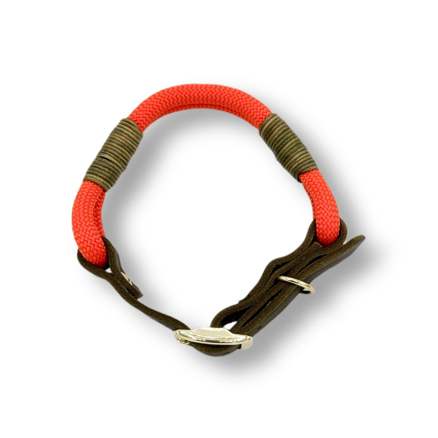Personalisierbares Tau Halsband Neon Forest