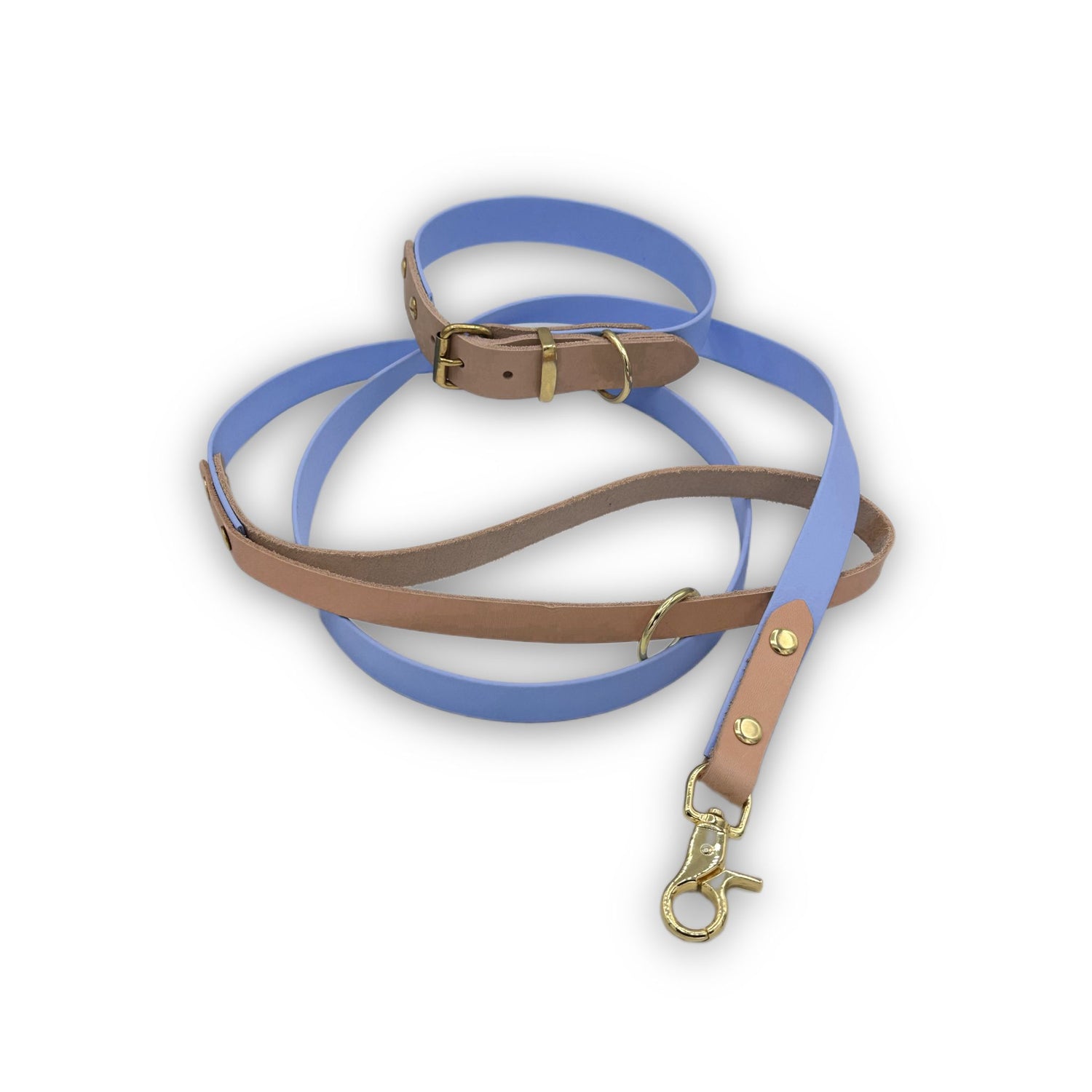 Biothane Halsband & Leine