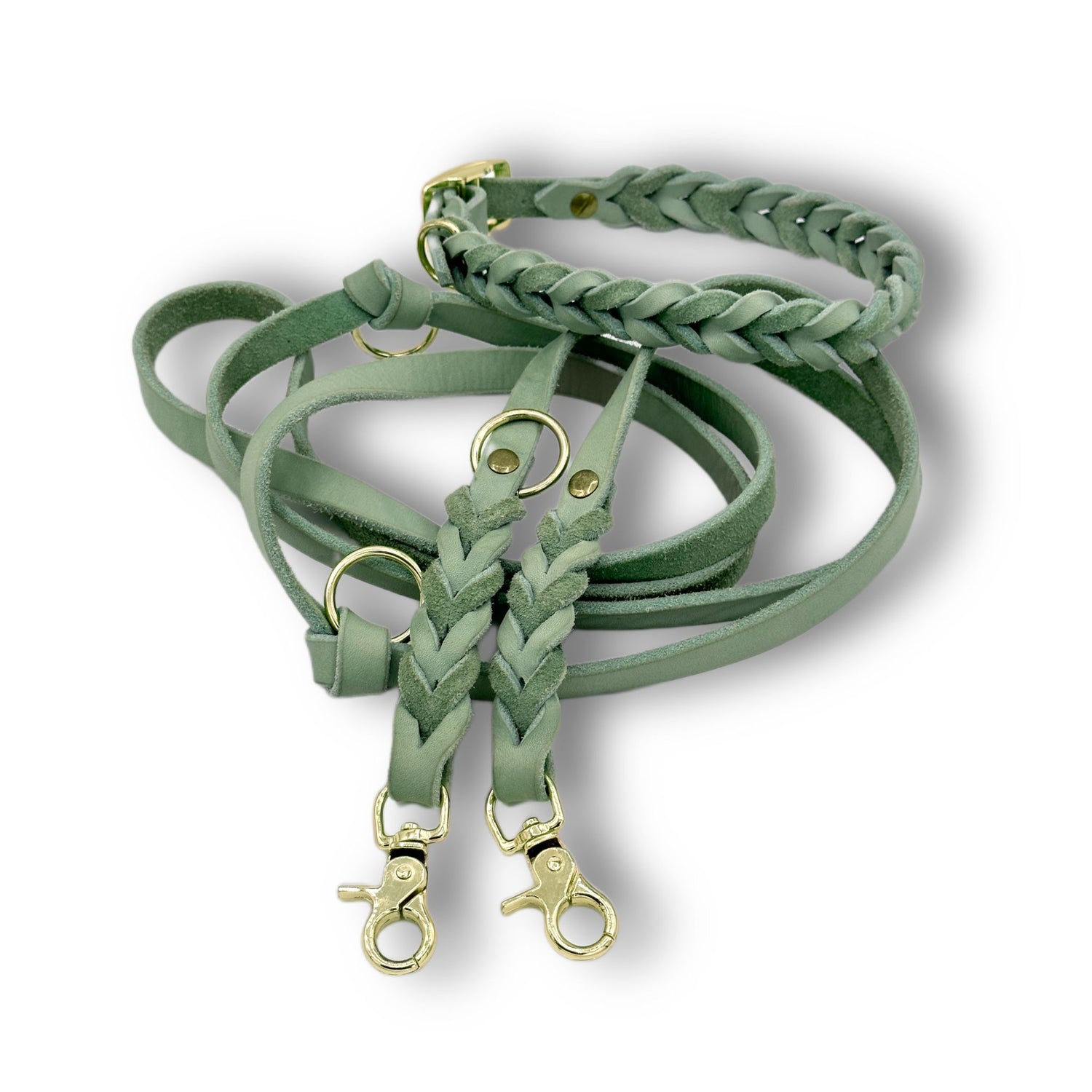 Leder Halsband & Leine