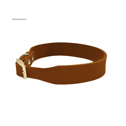 Leder Halsband Konfigurator