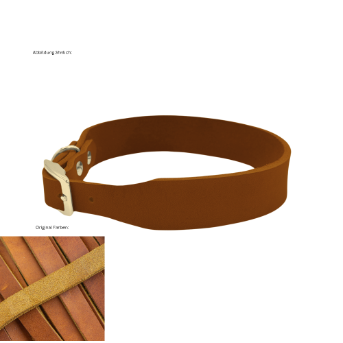 Leder Halsband Konfigurator