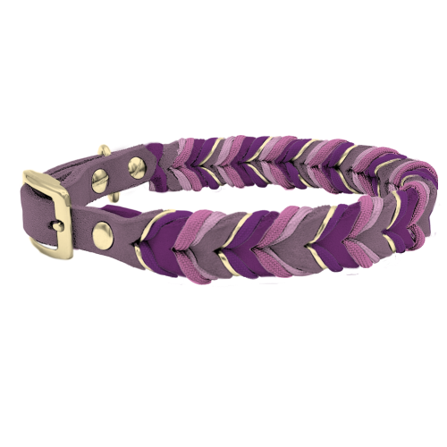 Leder Halsband Braided+ Konfigurator