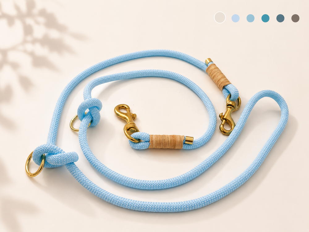 Hundeleine individuell konfigurieren passend zum Halsband