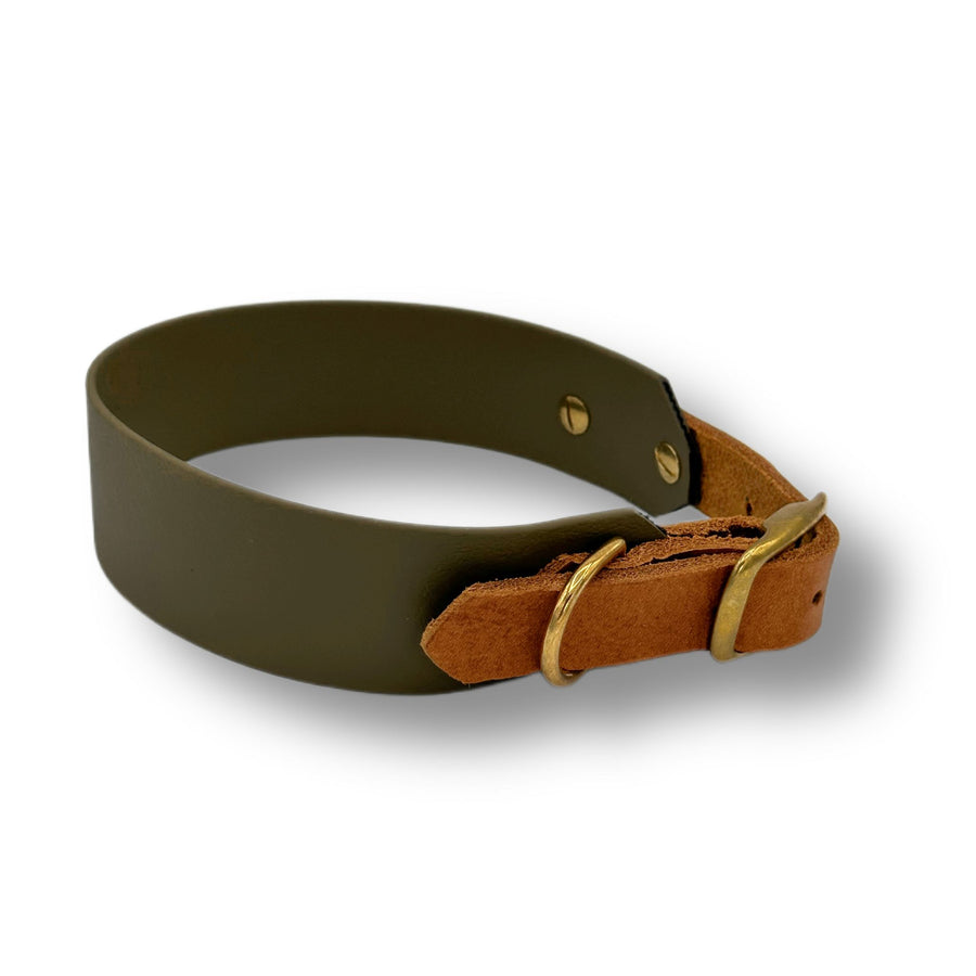 Personalisierbares Biothane Halsband Robin Hood