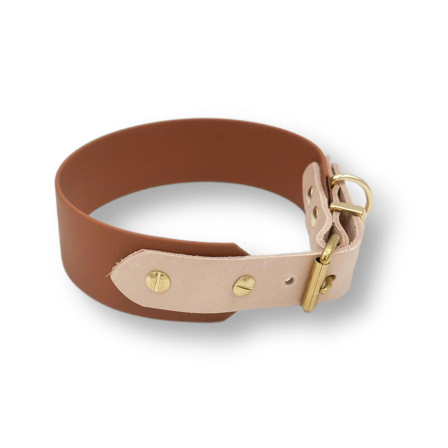 biothane halsband
