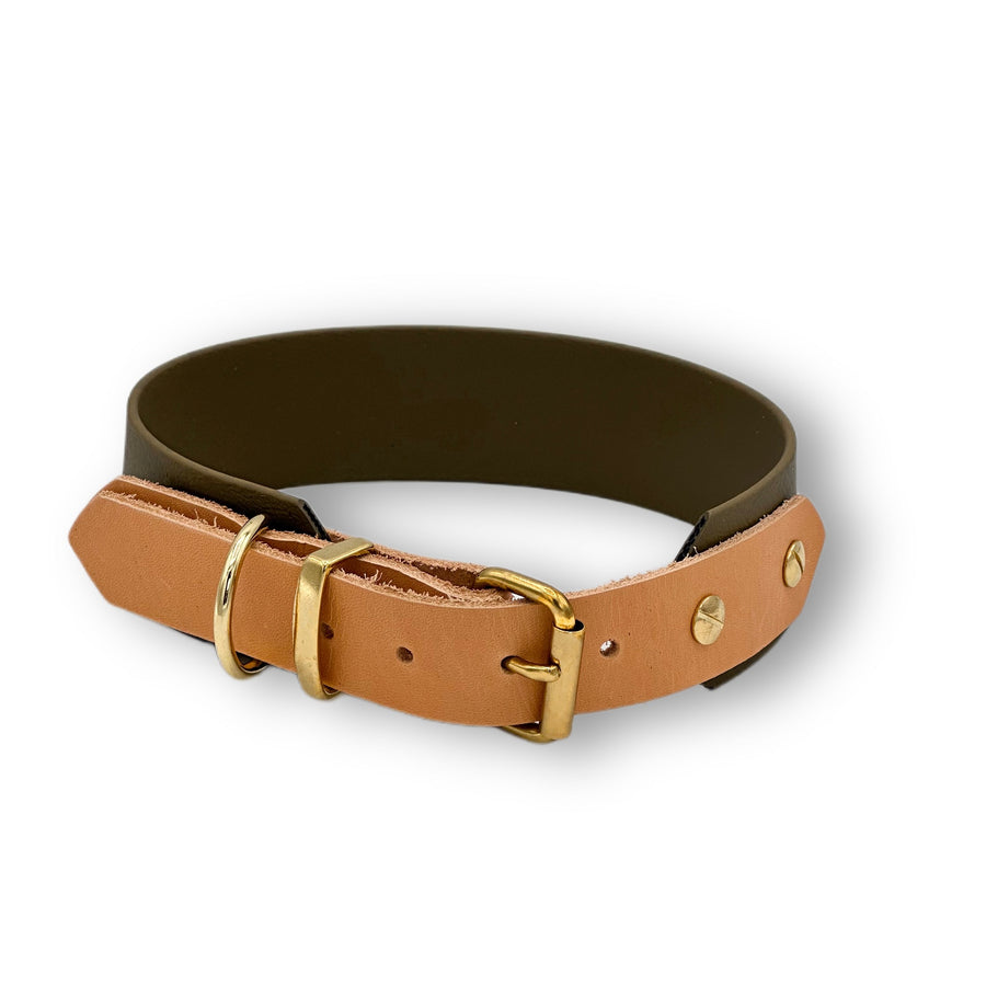Personalisierbares Biothane Halsband Kaa