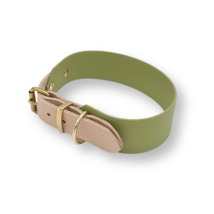 biothane halsband