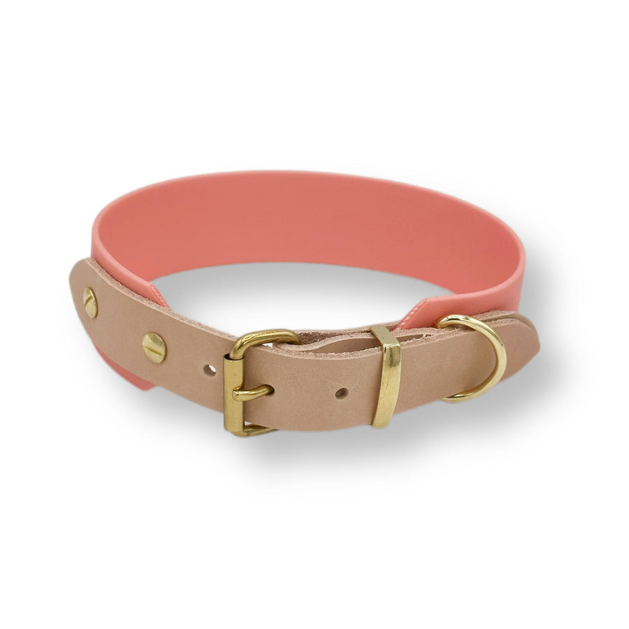 biothane halsband