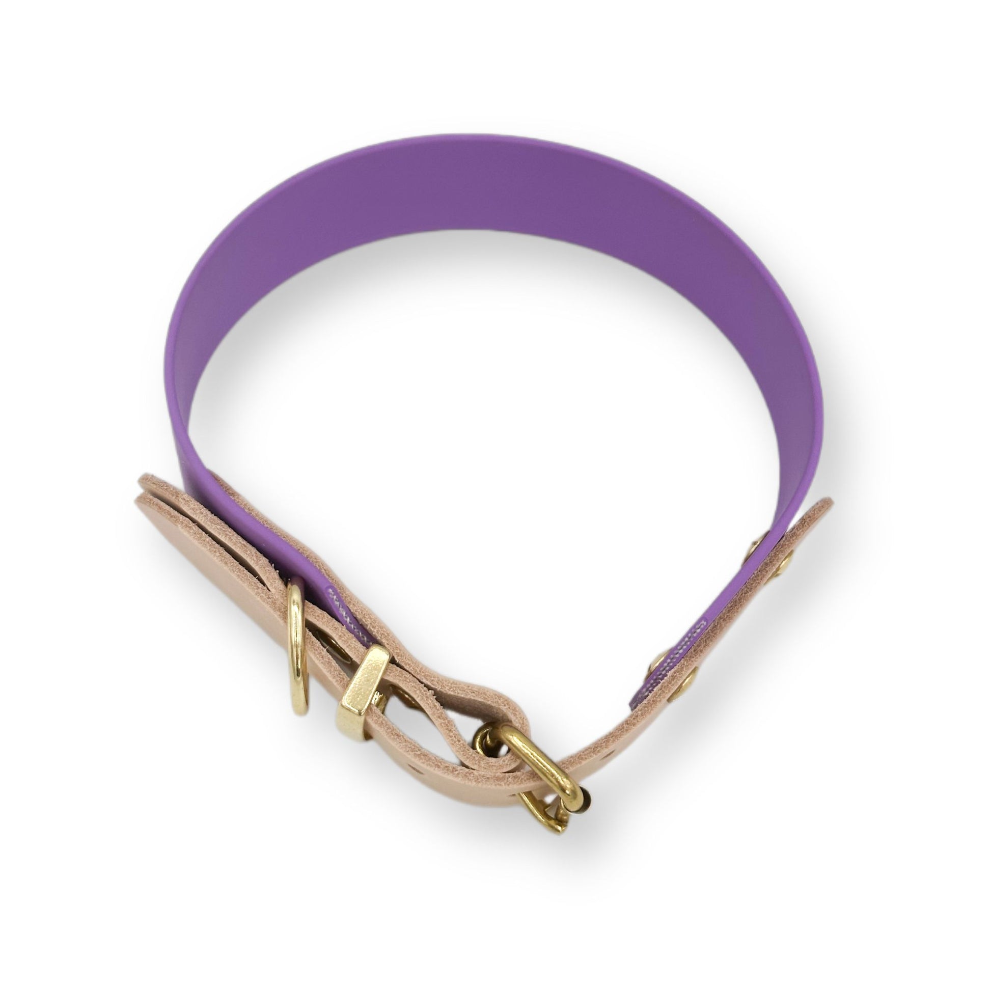 biothane halsband
