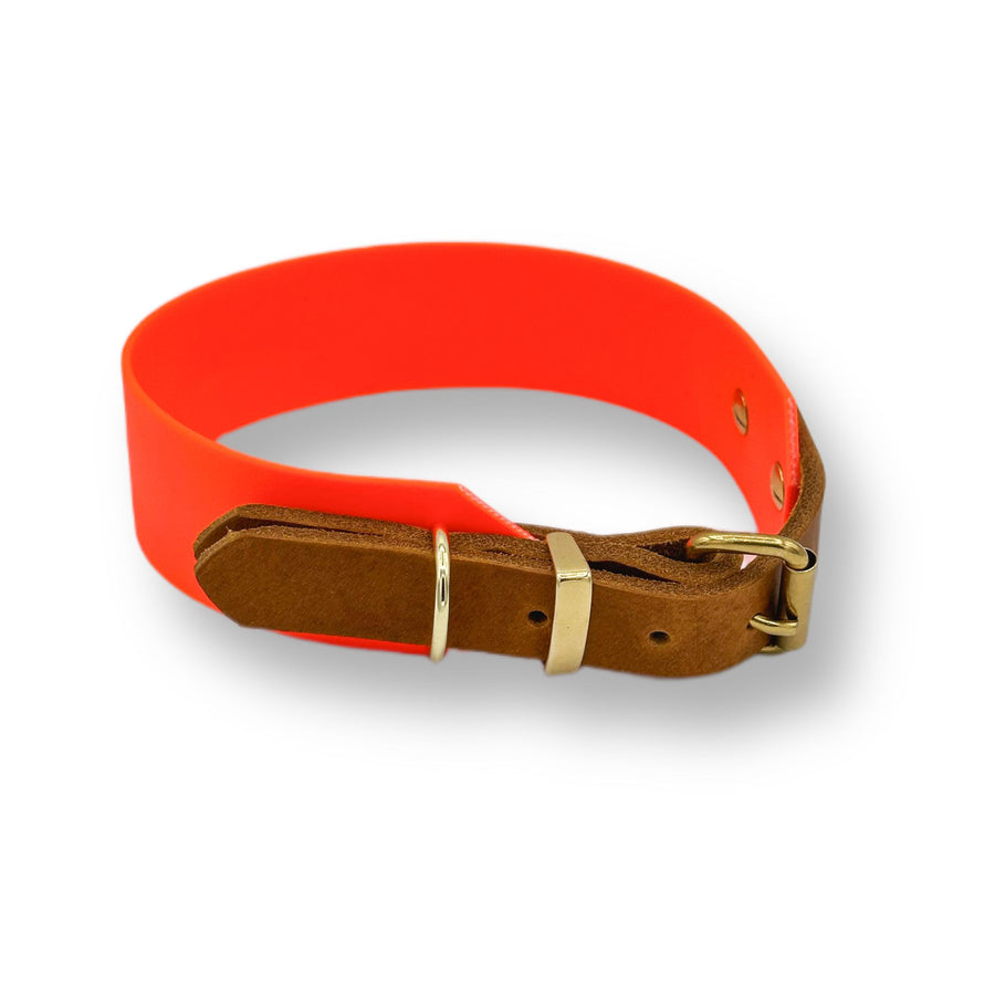 biothane halsband