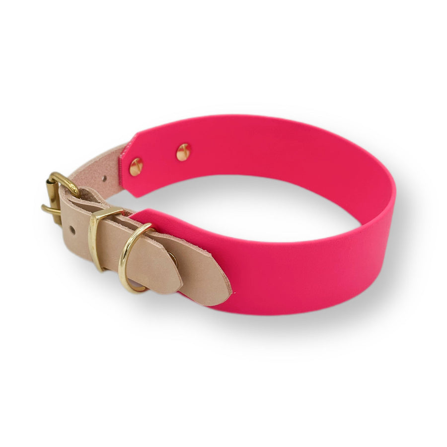 biothane halsband