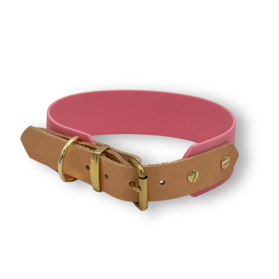 Personalisierbares Biothane Halsband Arista