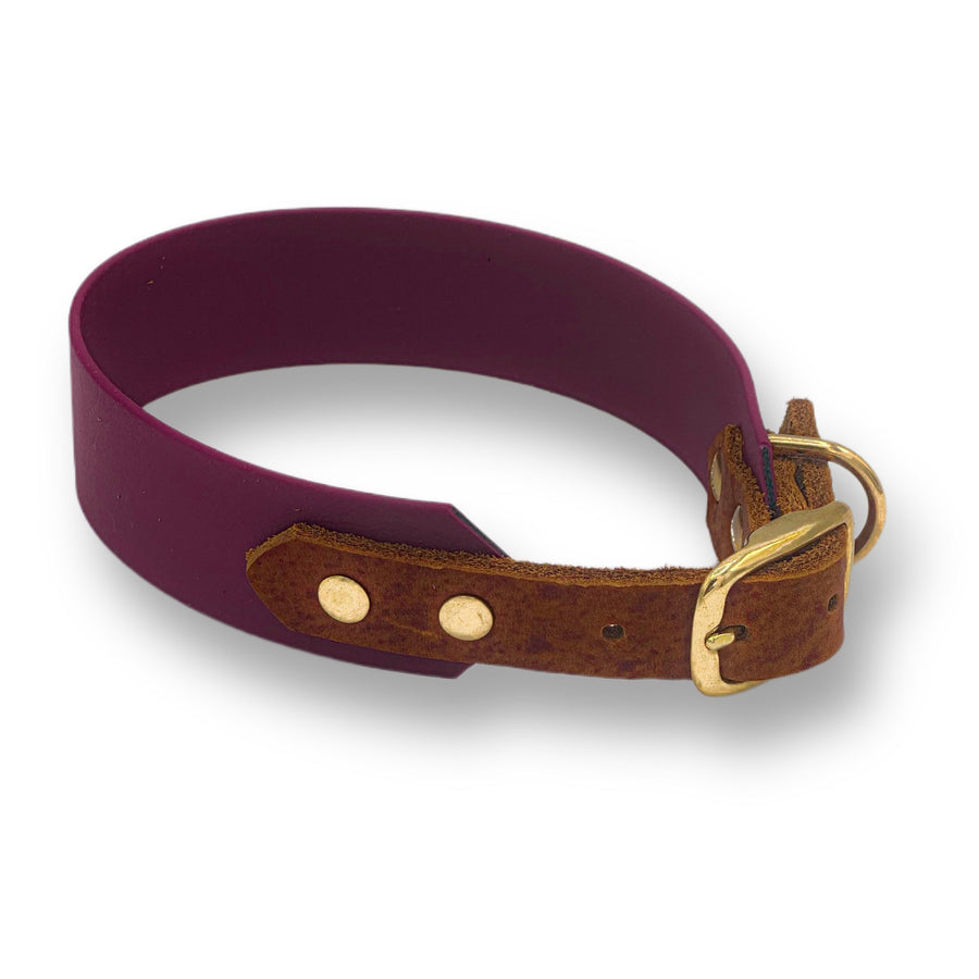 biothane halsband