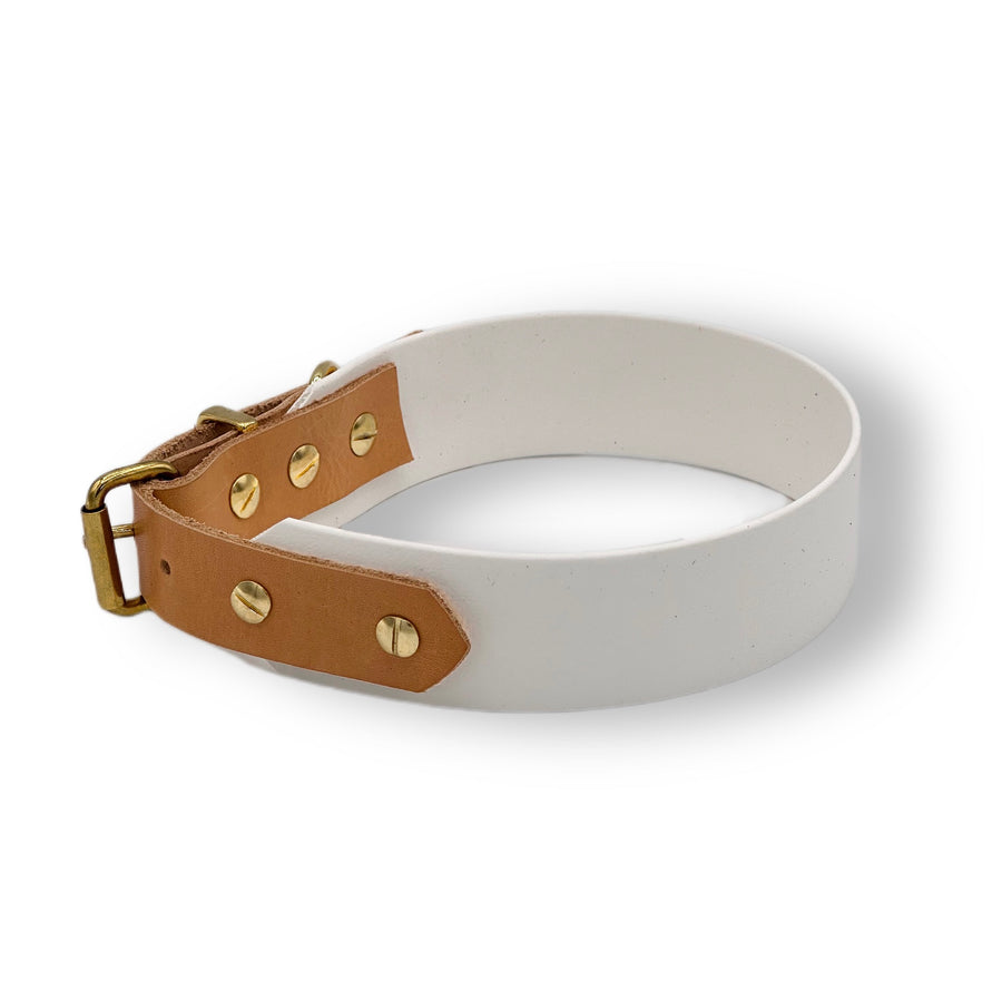 Personalisierbares Biothane Halsband Desert
