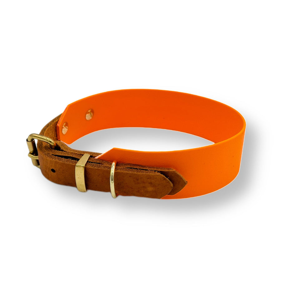 biothane halsband